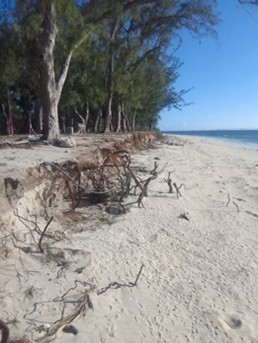 Indian Ocean 2