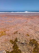 WP2 : High resolution analysis of flooding in reef environments 1